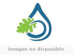 Servicios